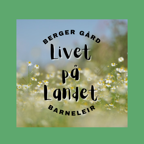 Barneleir aktivitetslogo