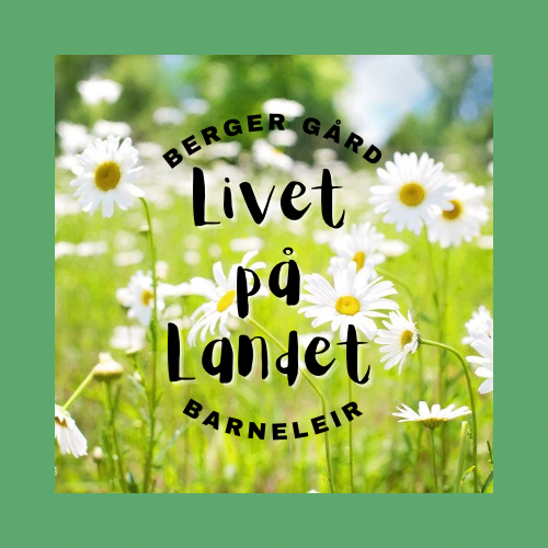 Barneleir aktivitetslogo