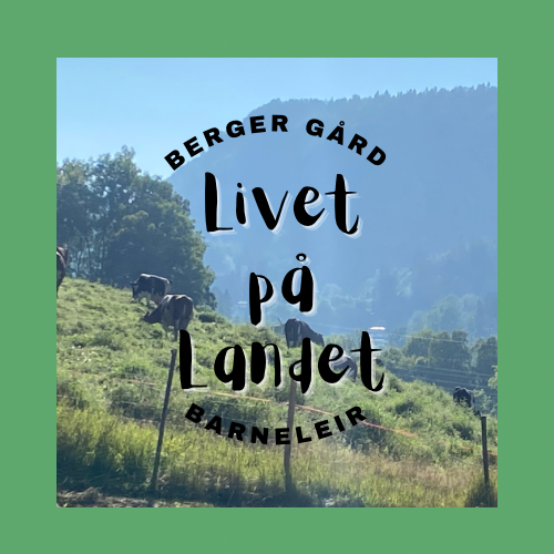 Barneleir aktivitetslogo