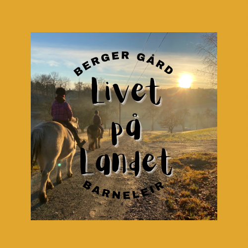 Barneleir aktivitetslogo