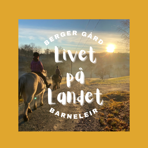 Barneleir aktivitetslogo