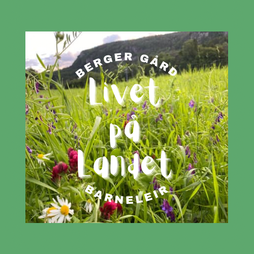 Barneleir aktivitetslogo