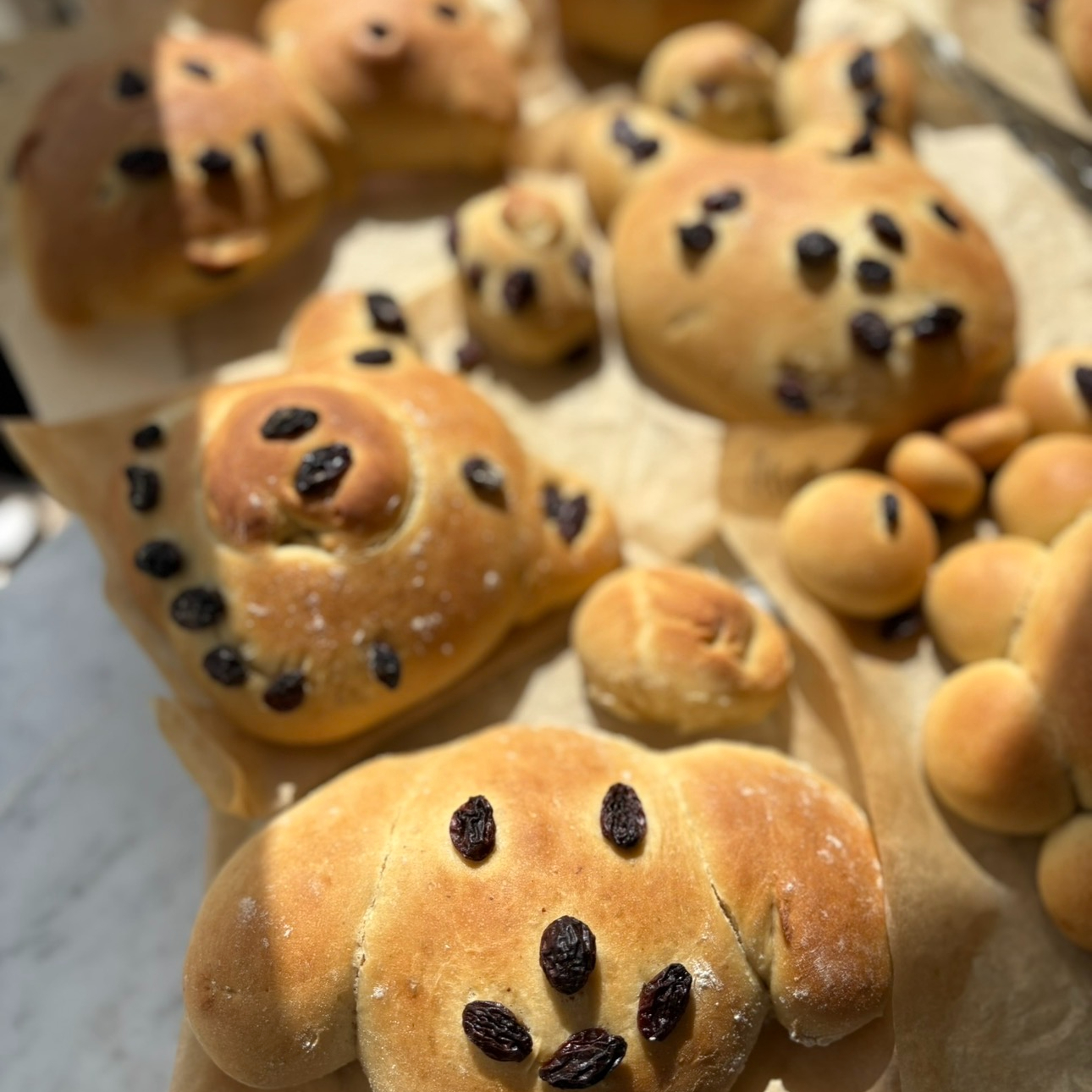 Hjemmebakst med eget mel