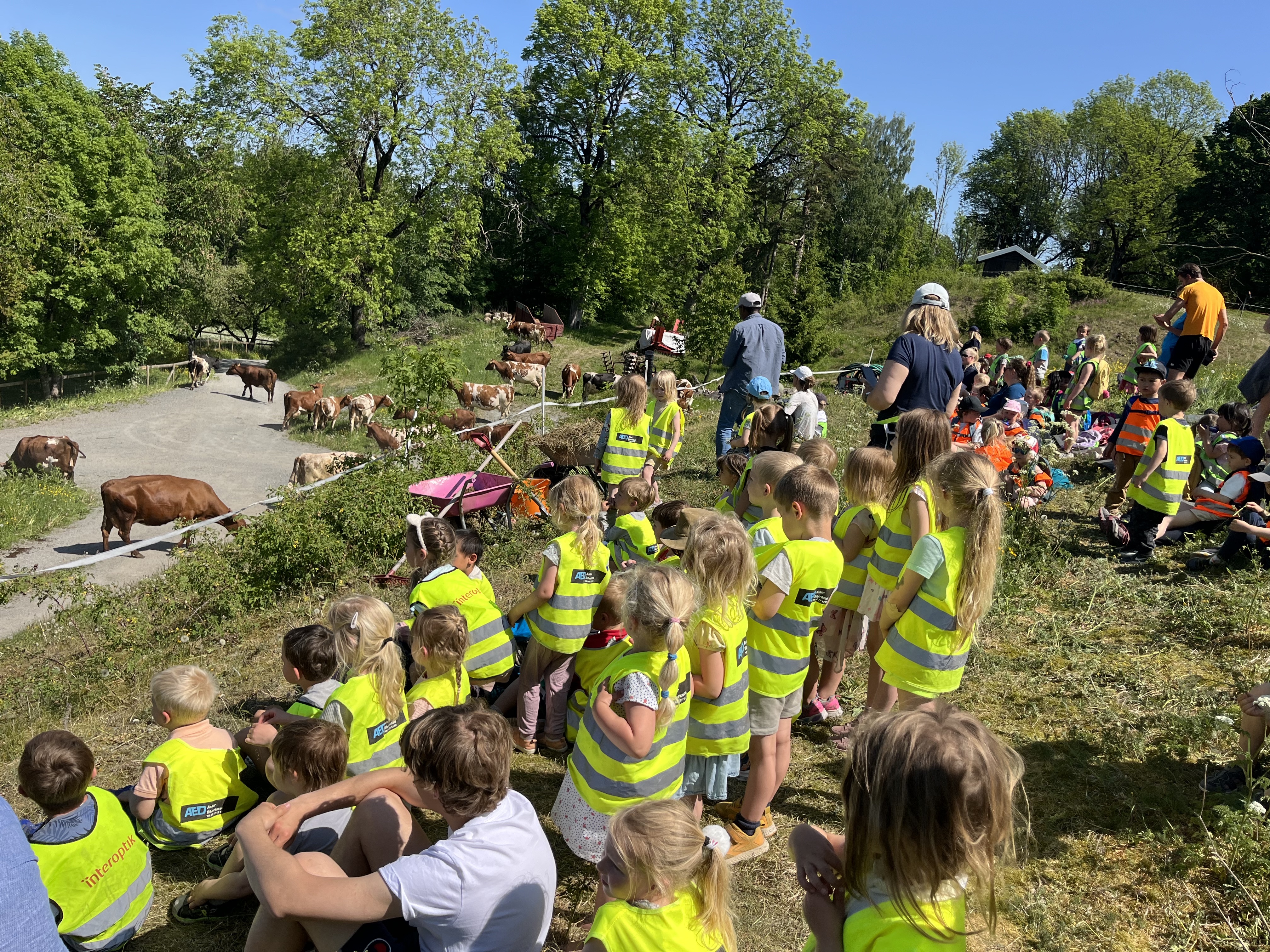 Kuslipp på Berger Gård med barn og familier