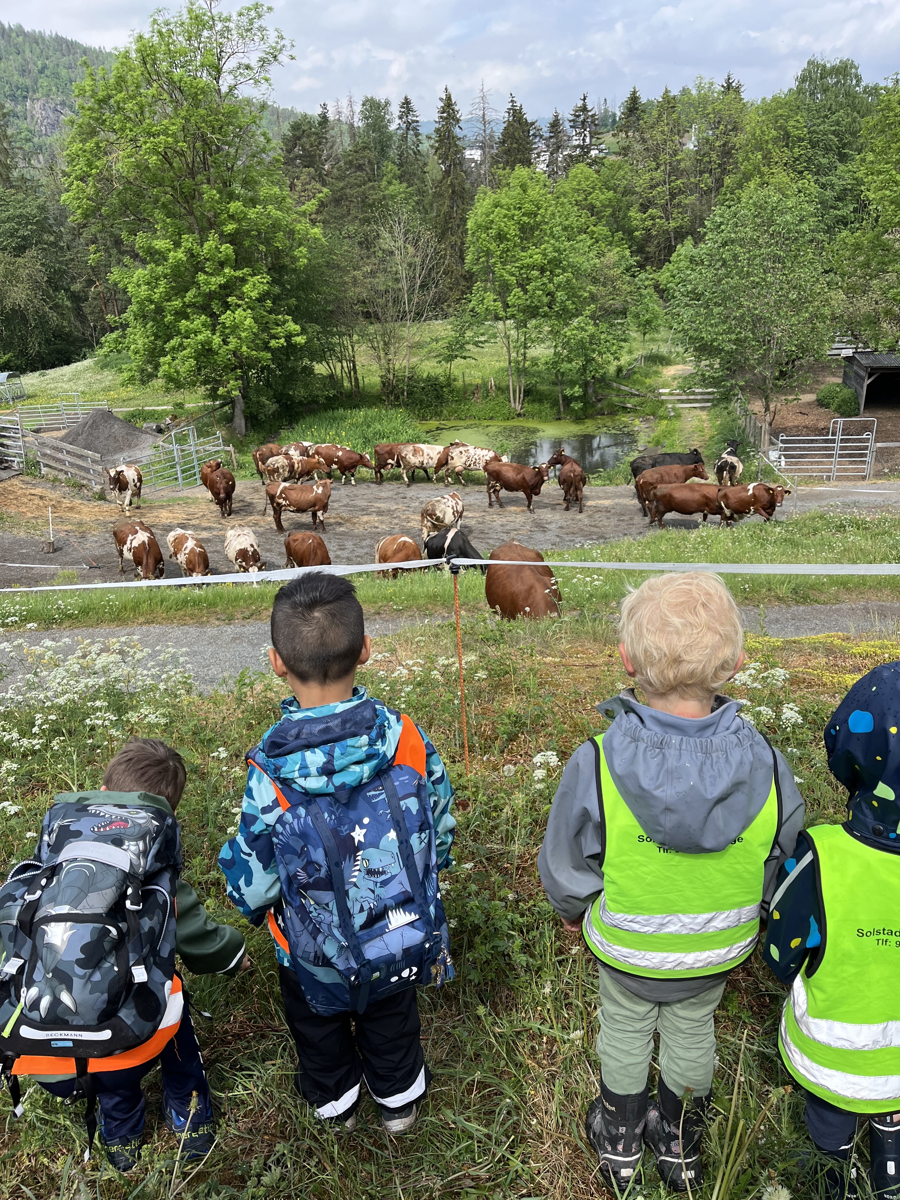 Utsikt over Berger Gård og omgivelsene